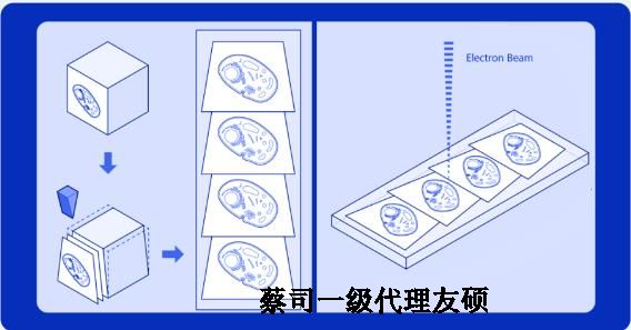 伊春蔡司伊春扫描电镜